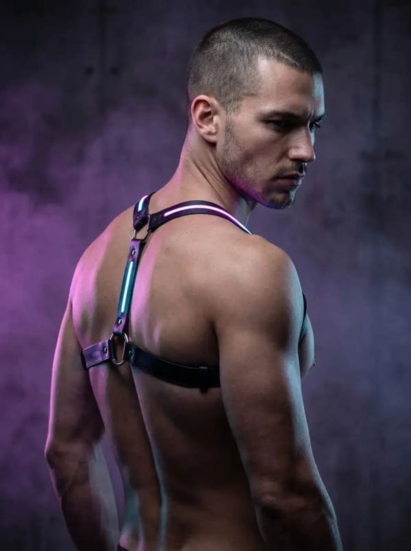 Vega O-Ring Harness