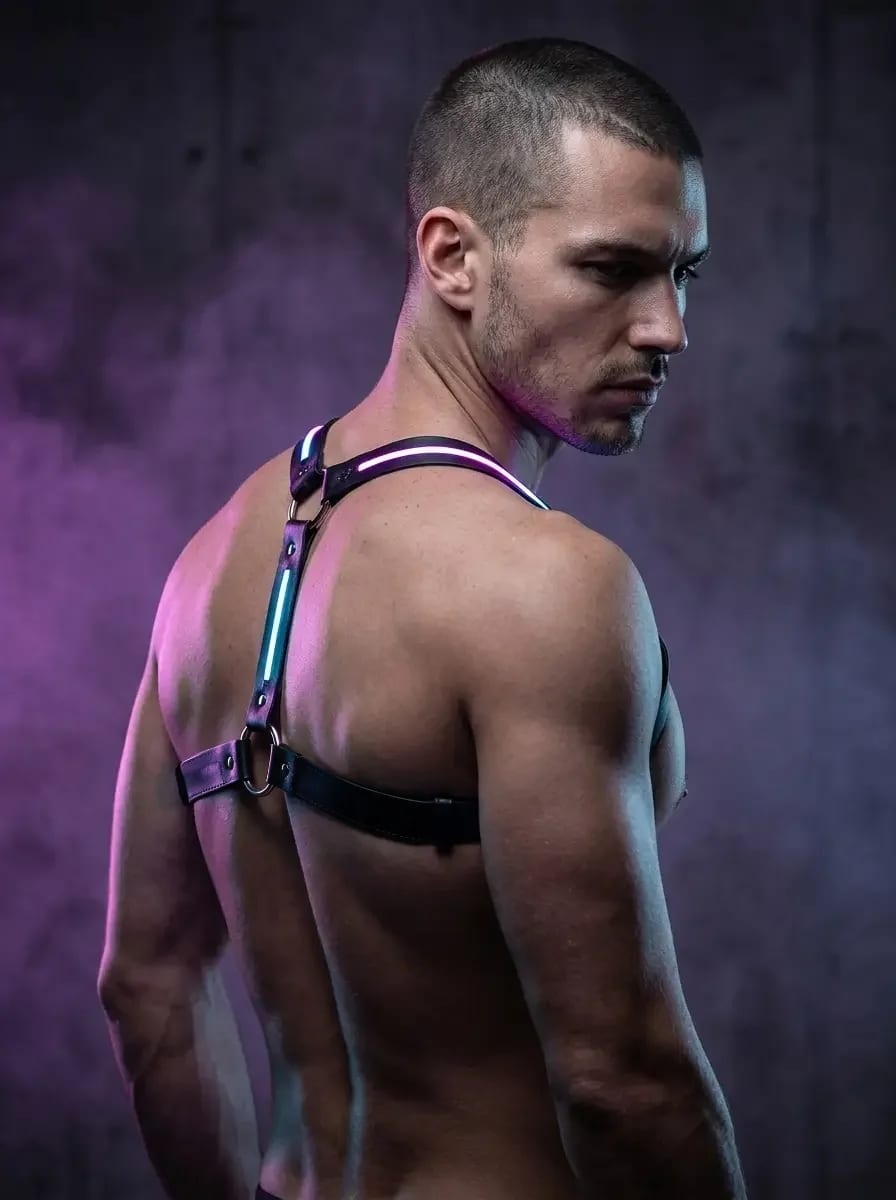 Vega O-Ring Harness